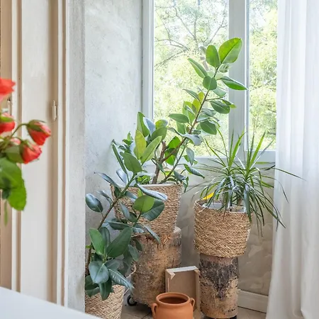 Handcrafted Apartment-25 Min Walk To Center-free Street Parking *